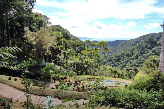 Jardín de Balata, lo mejor de Isla Martinica