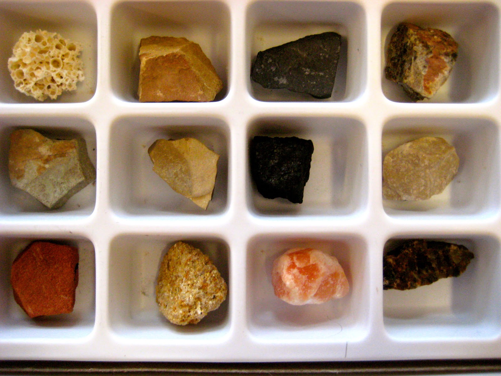 Ms. Liebel's Classroom: Rock Unit: Sedimentary Rocks!