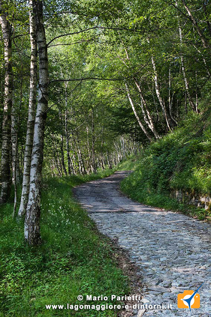 La strada per Cangili, all'altezza del bivio per S. Anna La strada per Cangili, all'altezza del bivio per S. Anna