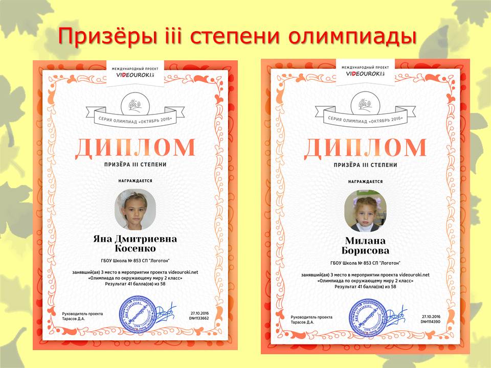 лауреат 3 степени