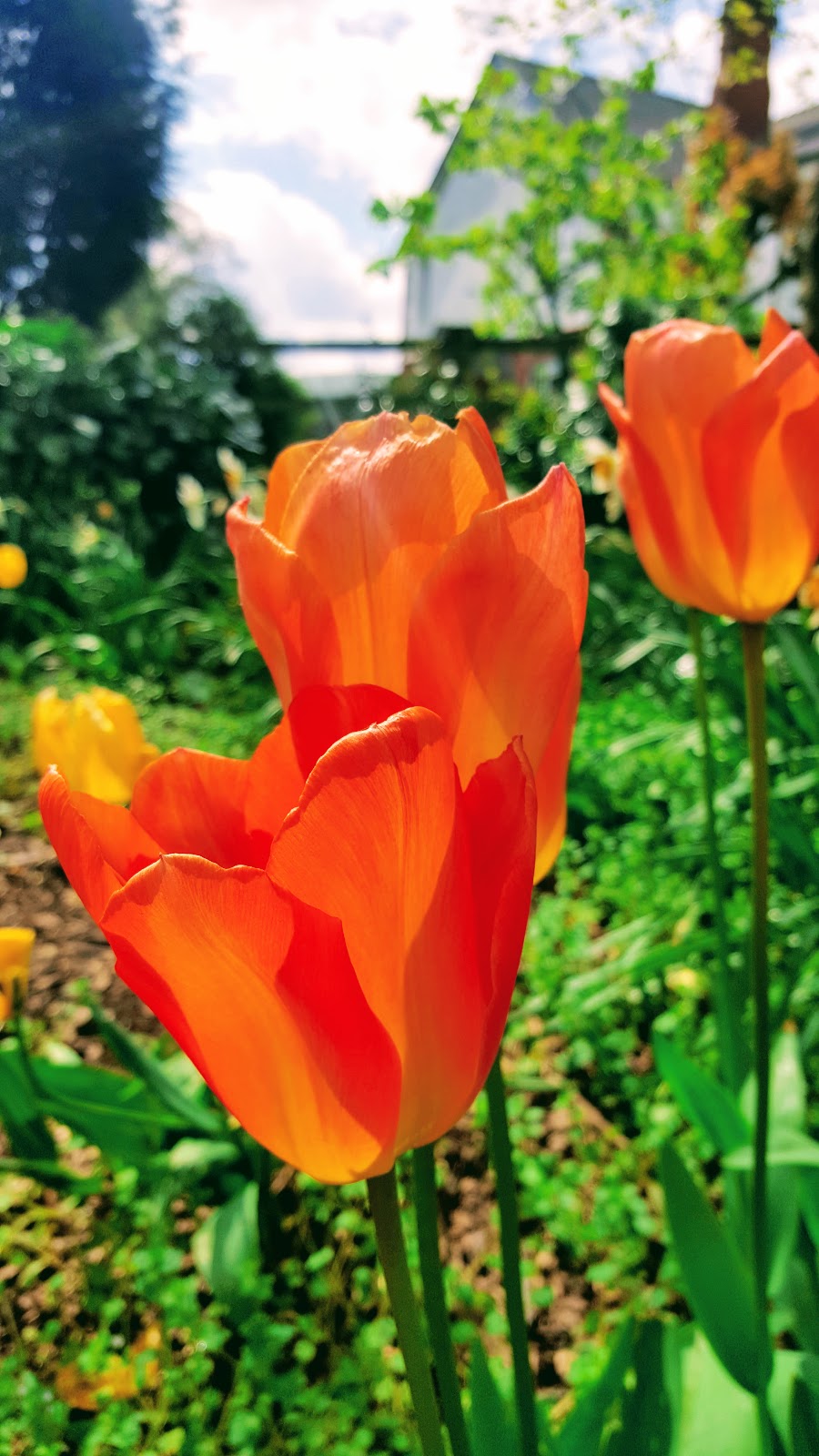 Wordless Or Not So Wordless Blog Hop Wordless Or Not So Wordless Blog Hop