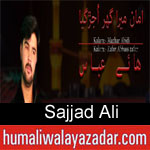 https://www.humaliwalyazadar.com/2018/09/sajjad-ali-nohay-2019.html