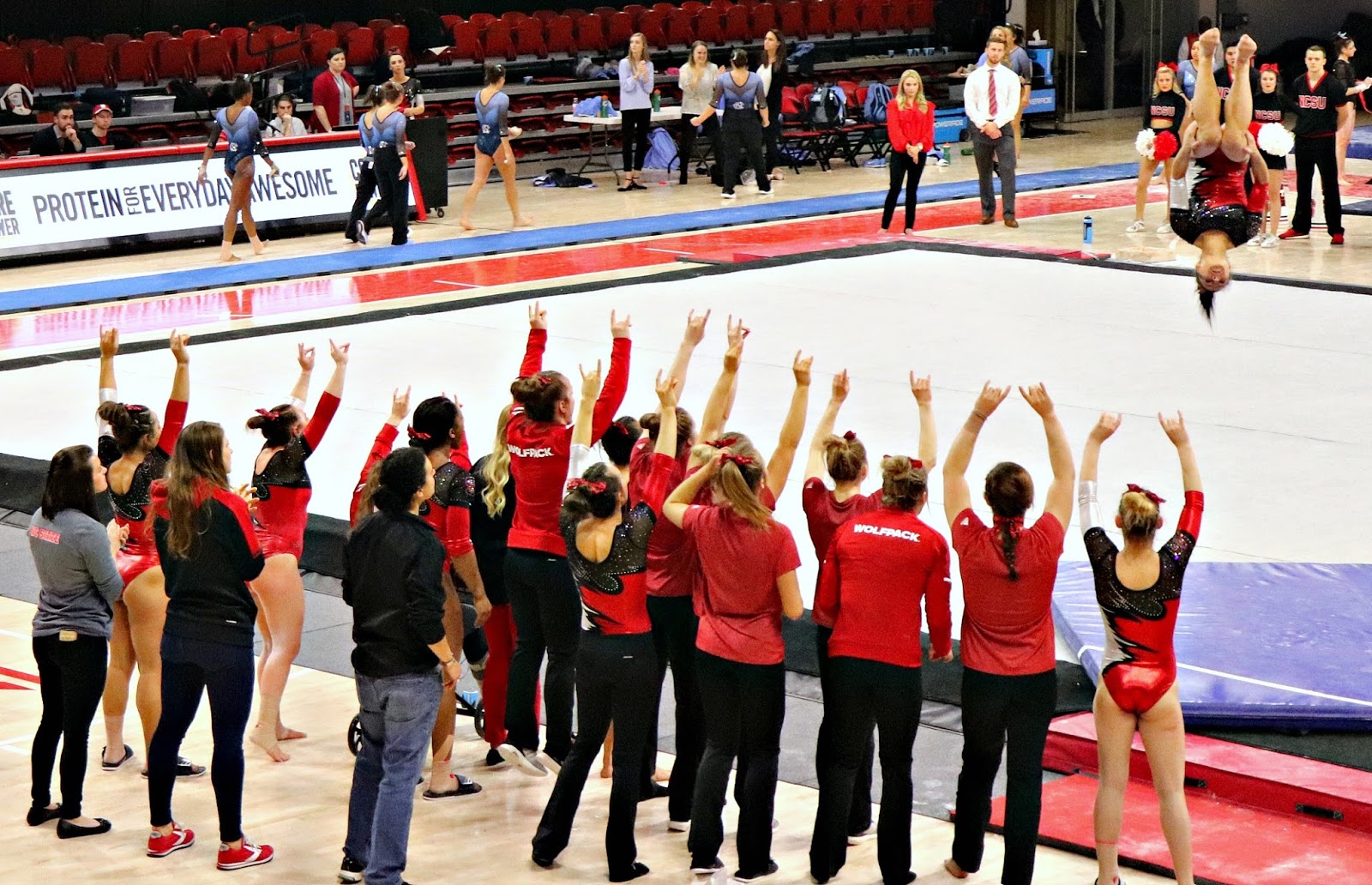 carolina on my mind NC State Women's Gymnastics