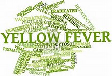 Yellow fever symptoms