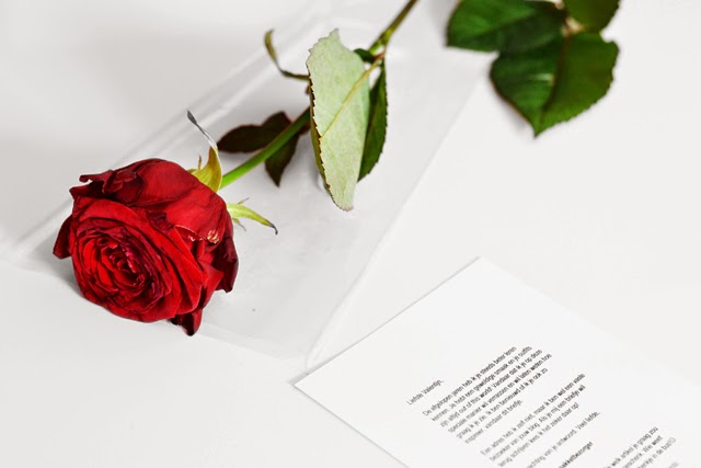 Zalando, red rose, valentine, love letter, present, gift