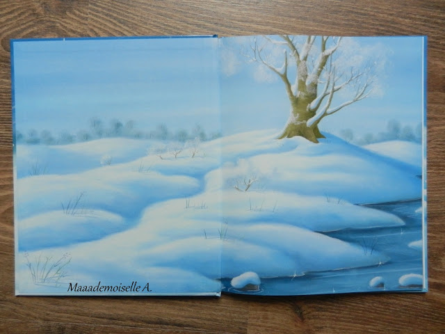 || Petit Hérisson, sauveteur des neiges ! (Présentation & Avis)(Chut, les enfants lisent # 44)