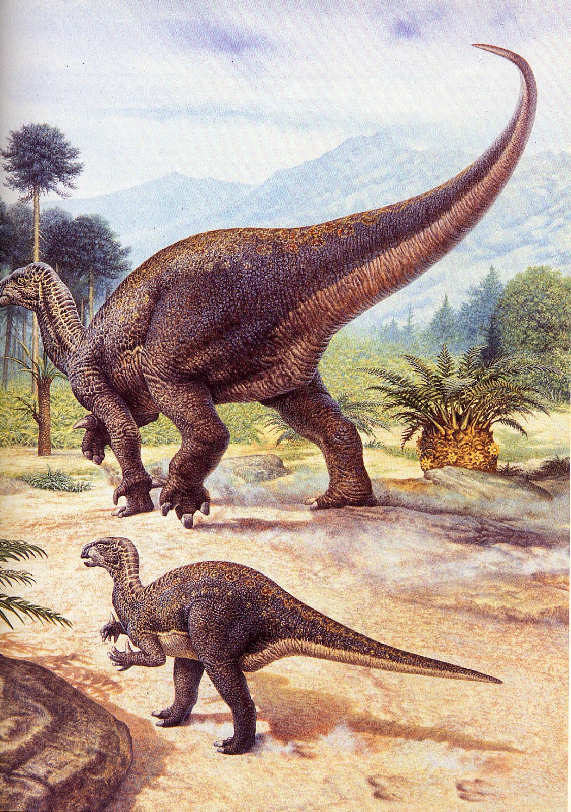 ¡DINOSAURIOS!: diciembre 2012