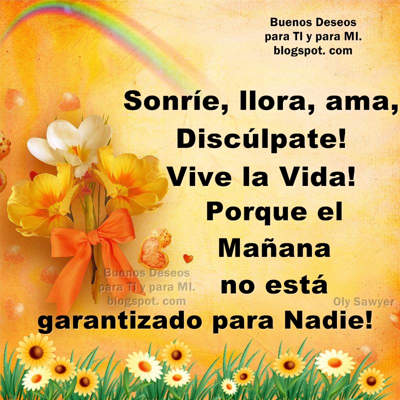 Reflexiones para TI y para MÍ: * Sonríe, llora, ama, Discúlpate ! Vive la  Vida! *