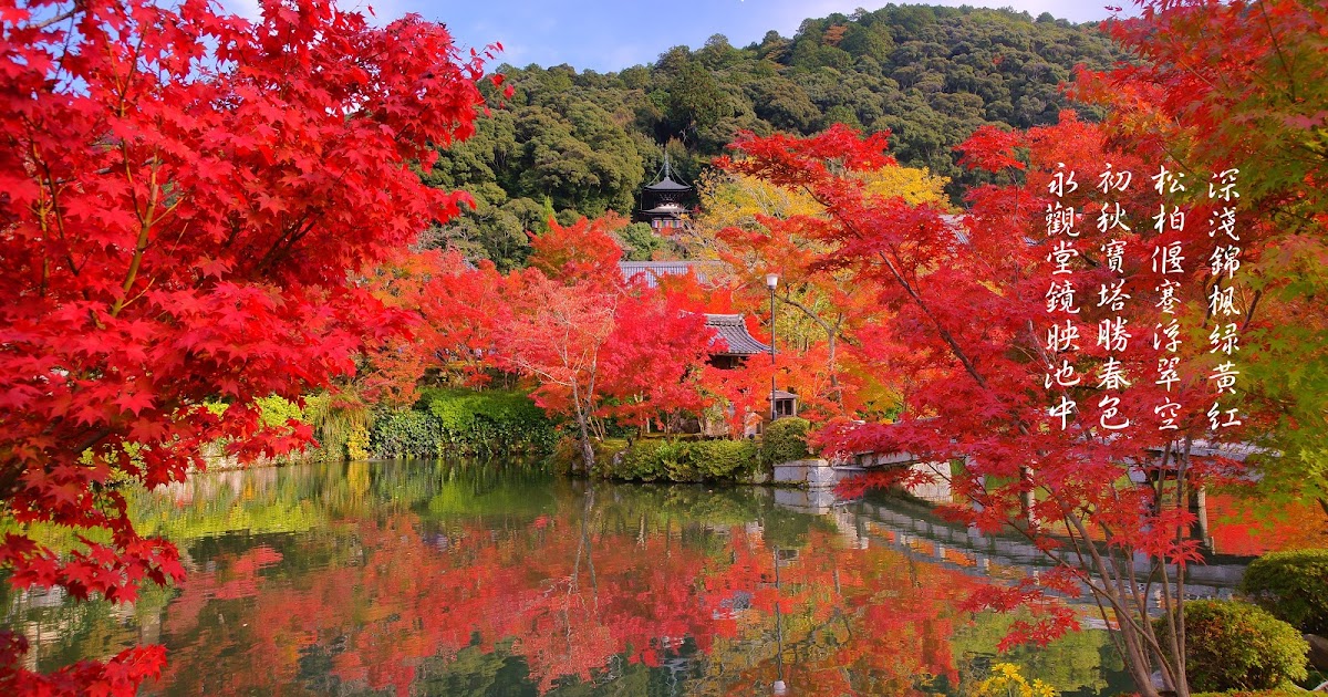 京都紅葉錦秋の永観堂autumn Leaves In Kyoto Higashiyama Area Eikando Temple 我之所攝 心之所見 滌癒人心 意味深遠 請跟隨我進入這攝影與詩歌交織成的視界 並帶回滿滿的感動