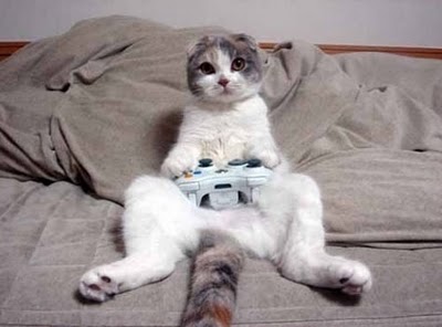 cat-playing-games-122.jpeg