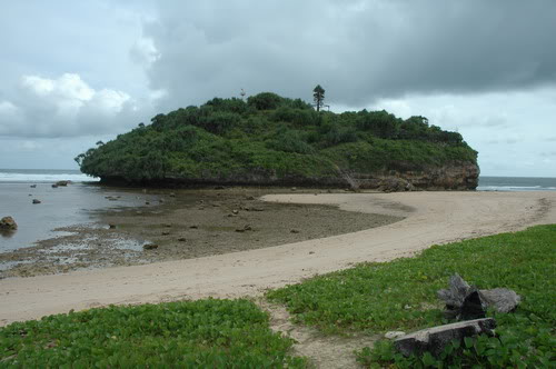 Kumpulan Makalah dan Kliping Sekolah Ekosistem Laut Kumpulan Makalah dan Kliping Sekolah Ekosistem Laut