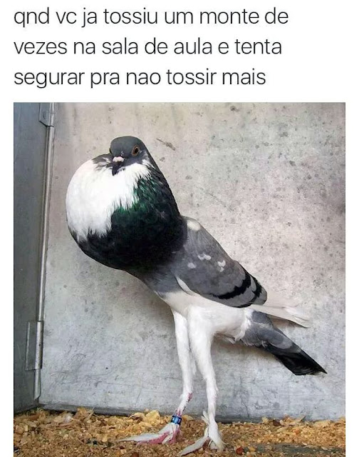 Memes engraçados Memes engraçados