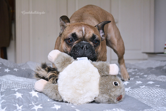 afp Hundespielzeug Orel und Ophelia afp Hundespielzeug Orel und Ophelia