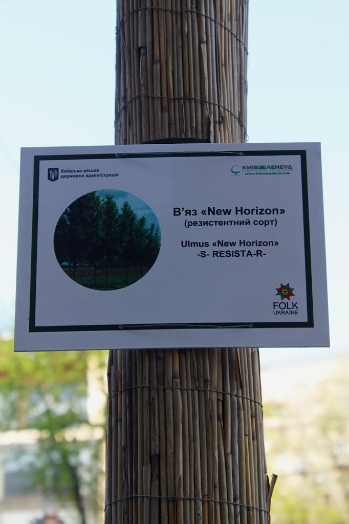 Табличка с названием дерева