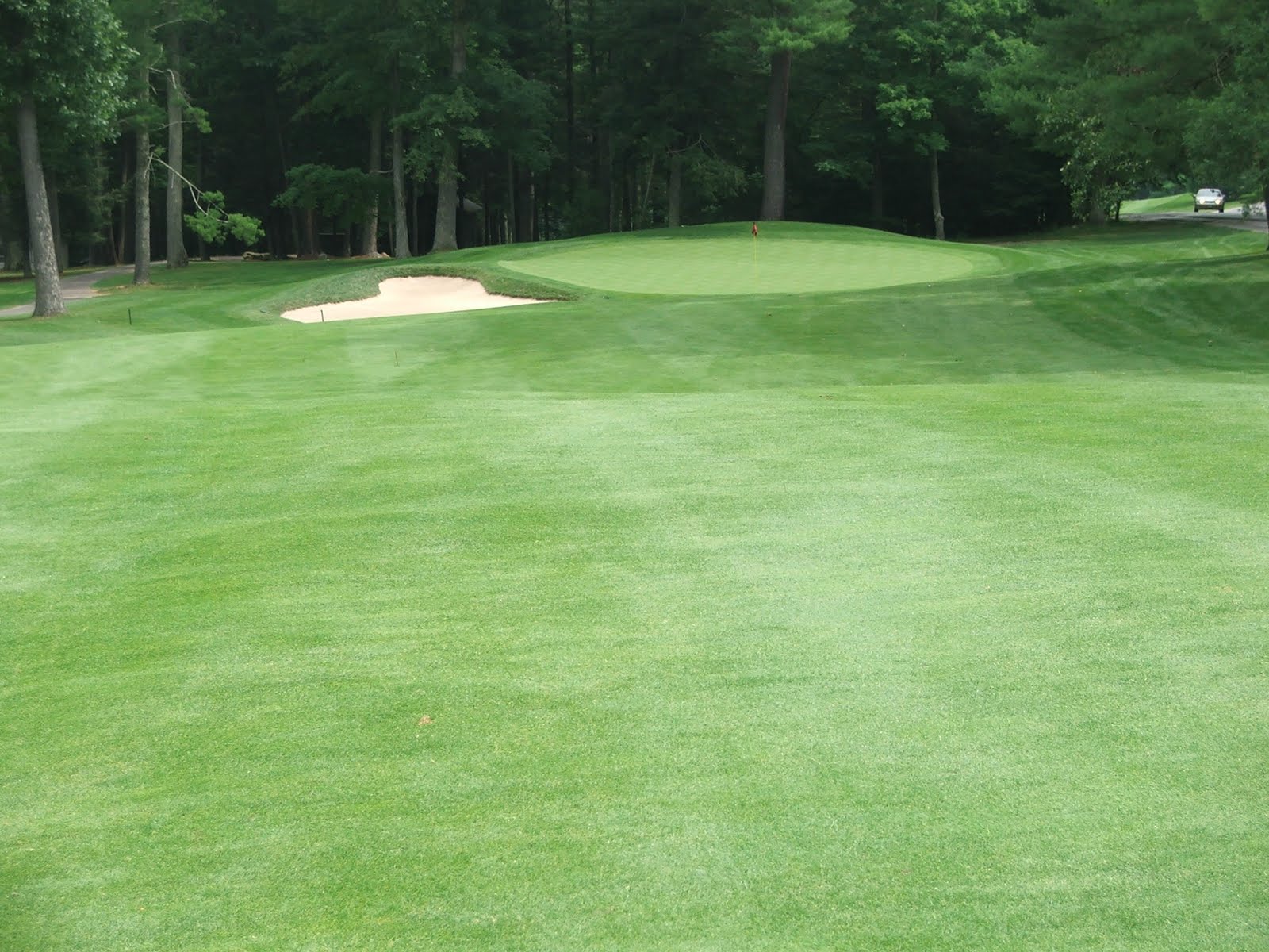 Playing the Top 100 Golf Courses in The World Homestead (Cascades