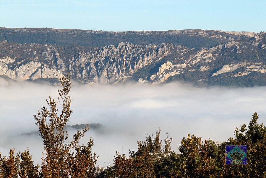 ZáLeZ "El bosque encantado" dentro de la ruta de los Duendes. Herrera