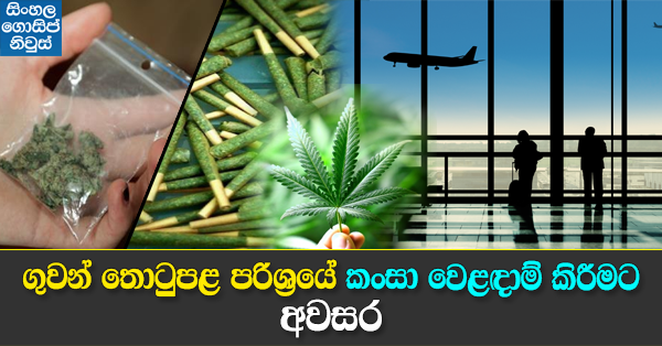 Jamaica to install weed vending machines at airports Jamaica to install weed vending machines at airports