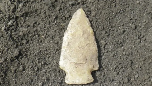 Canadian archaeologists find treasure in aftermath of giant forest fire Canadian archaeologists find treasure in aftermath of giant forest fire