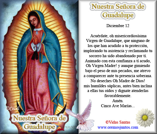 Oracion Virgen Guadalupe Imagui