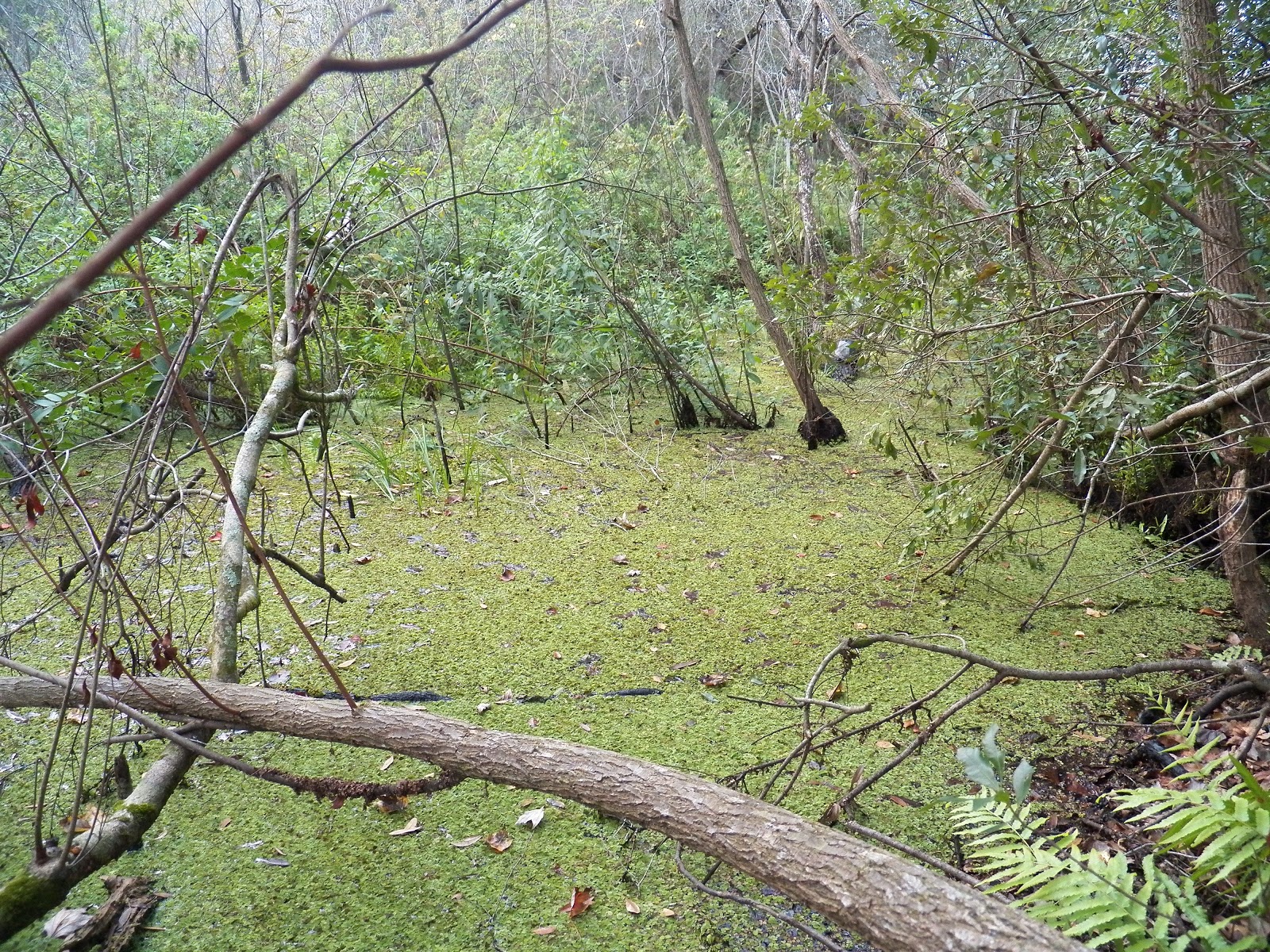 Representational Landscape Photography How To Grade Landscape