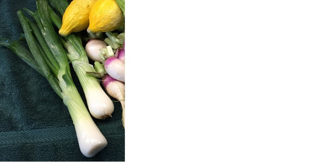 Colorado Mountain Gardener CAN I GROW ONIONS AT ALTITUDE WITH A SHORT