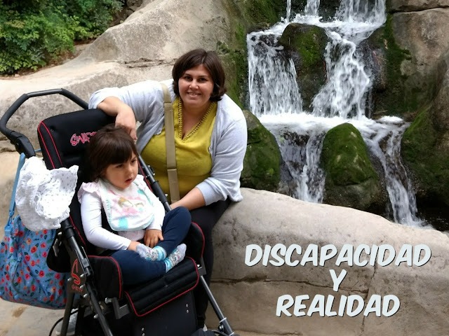 Discapacidad y realidad