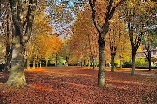 http://misqueridasventanas.blogspot.com.es/2015/12/este-paseo-es-uno-de-los-lugares-mas-me.html