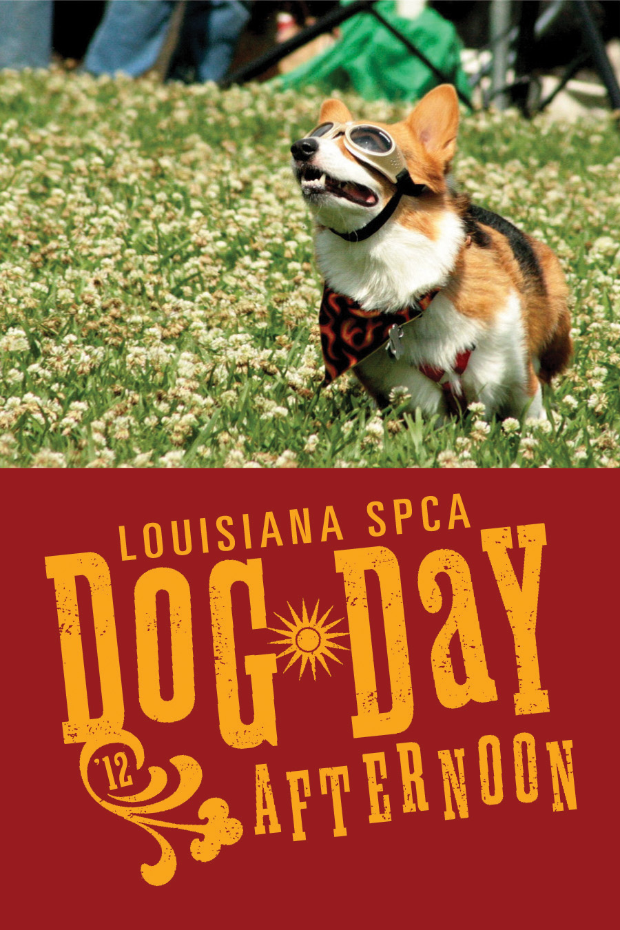 New Orleans Pet Care Save the date... Dog Day Afternoon!
