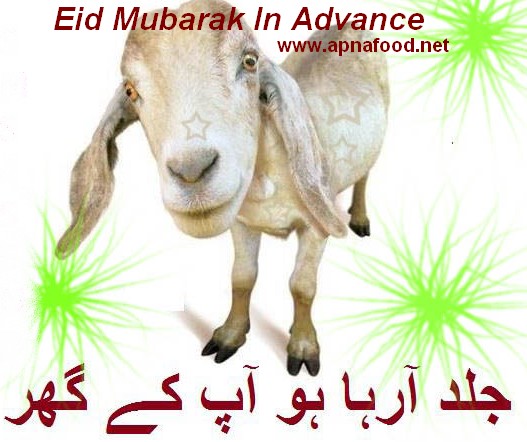 bakra eid mubarak in