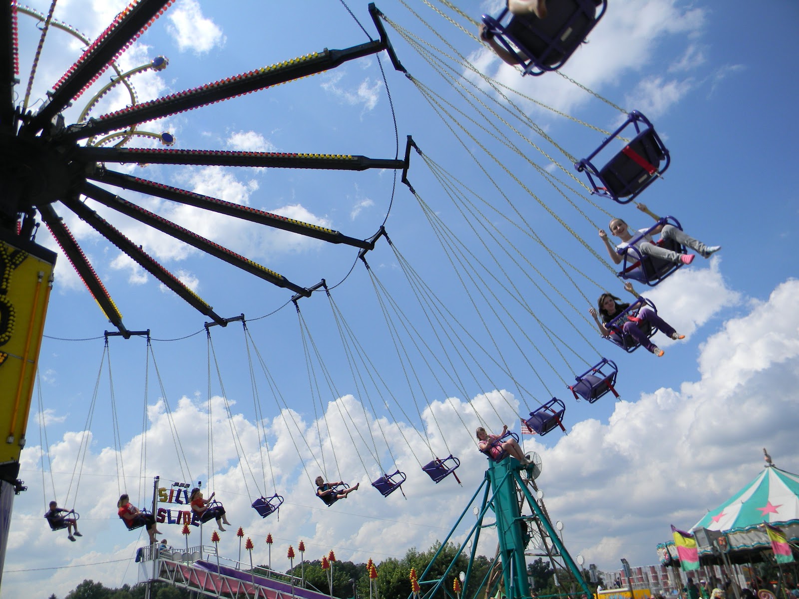 What the Judges Thought of Our Creations at the Westmoreland County Fair