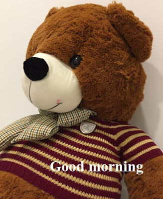 Good Morning Images of Teddy Bears - Cute teddy bear images