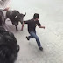 Toro Embiste Brutalmente A Joven Y Lo Deja Al Borde De La Muerte