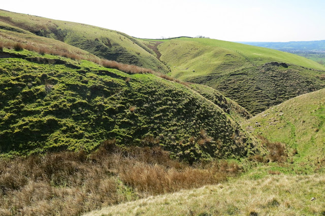 A view back up: lush green hillside, riven by twisting folds caused by the stream.