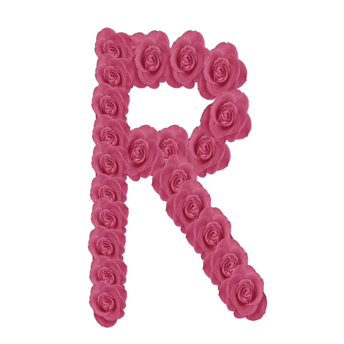 Розовые буквы. Буквы из роз. Буквы алфавита розовые. Буква р розовая.