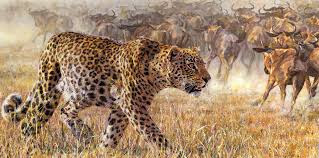Wildlife Art Wildlife Art