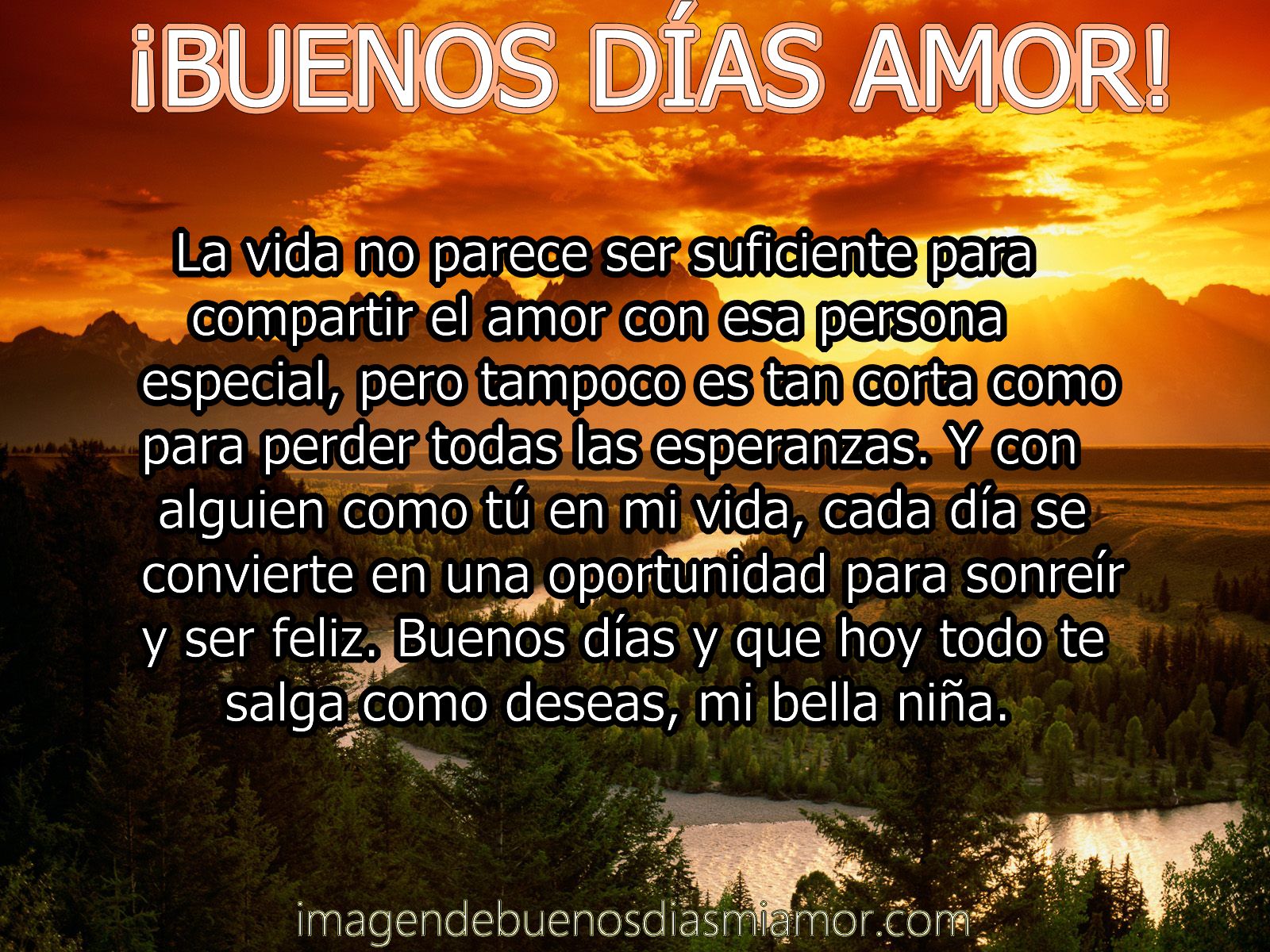 🌻🌞☀️🌹💜 Buen día mi amor espero que estés muy bien y que tu día este lleno de mucha felicidad 🌻🌞☀