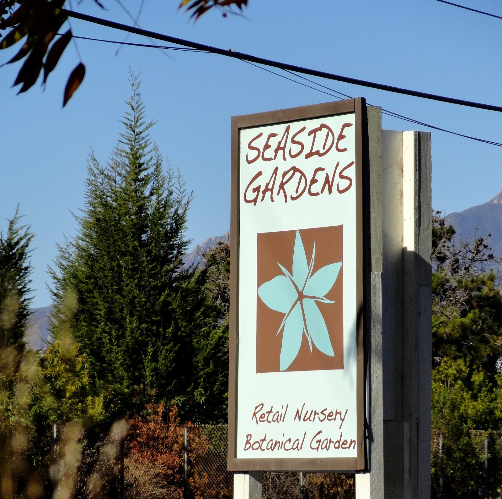 danger garden Seaside Gardens in Carpinteria, part one