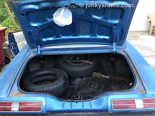 A filled water jug was used to hold down trunk. It did not work.