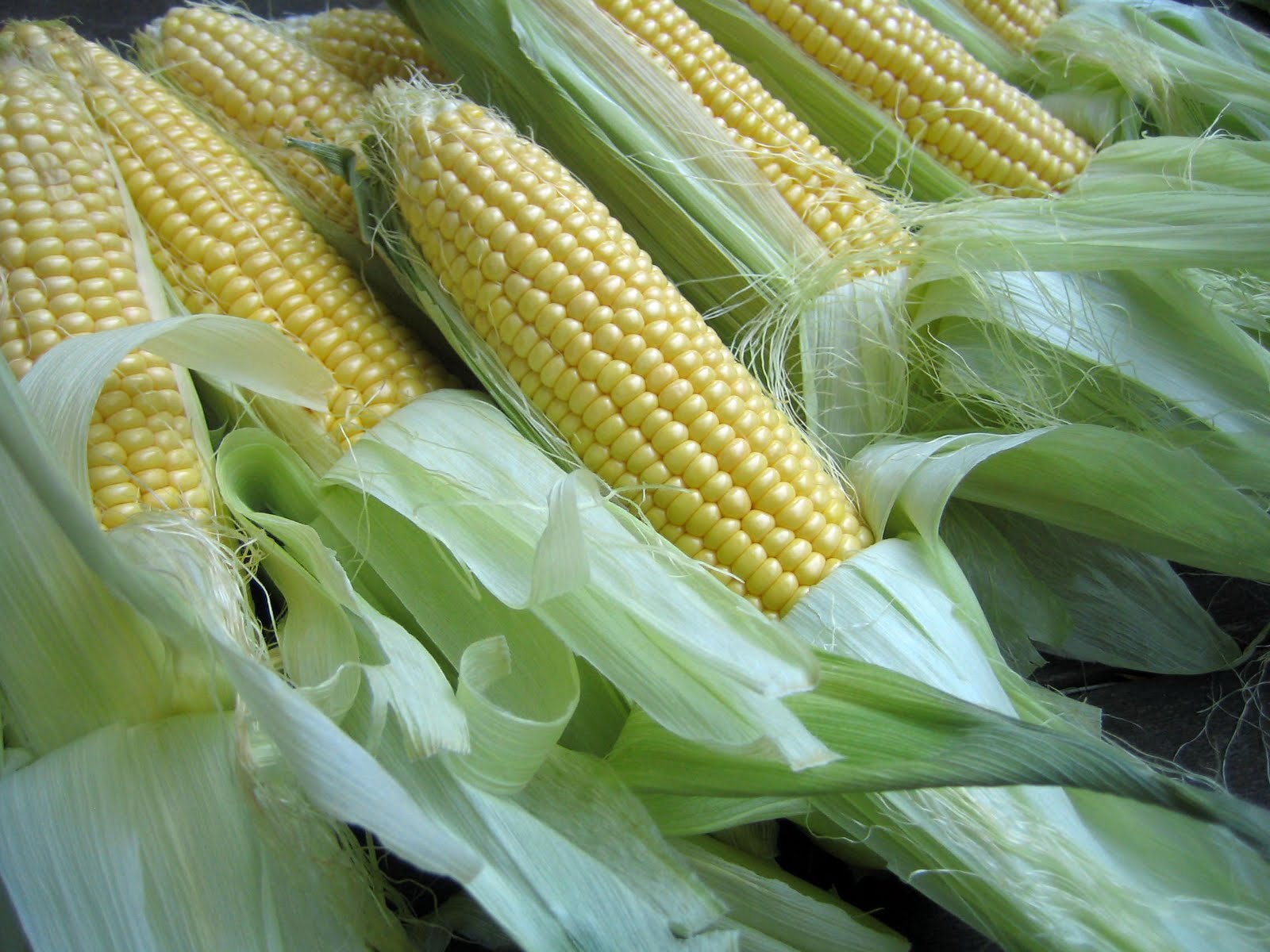 Blue Kale Road: Changing Seasons with Corn Chowder