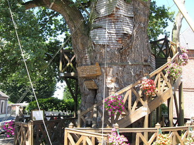 Chapel Oak
