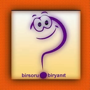 birsorubiryanıt