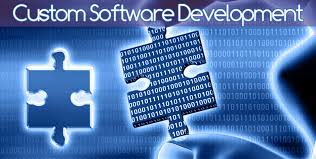 Various Stages in Development of any Custom Software Various Stages in Development of any Custom Software