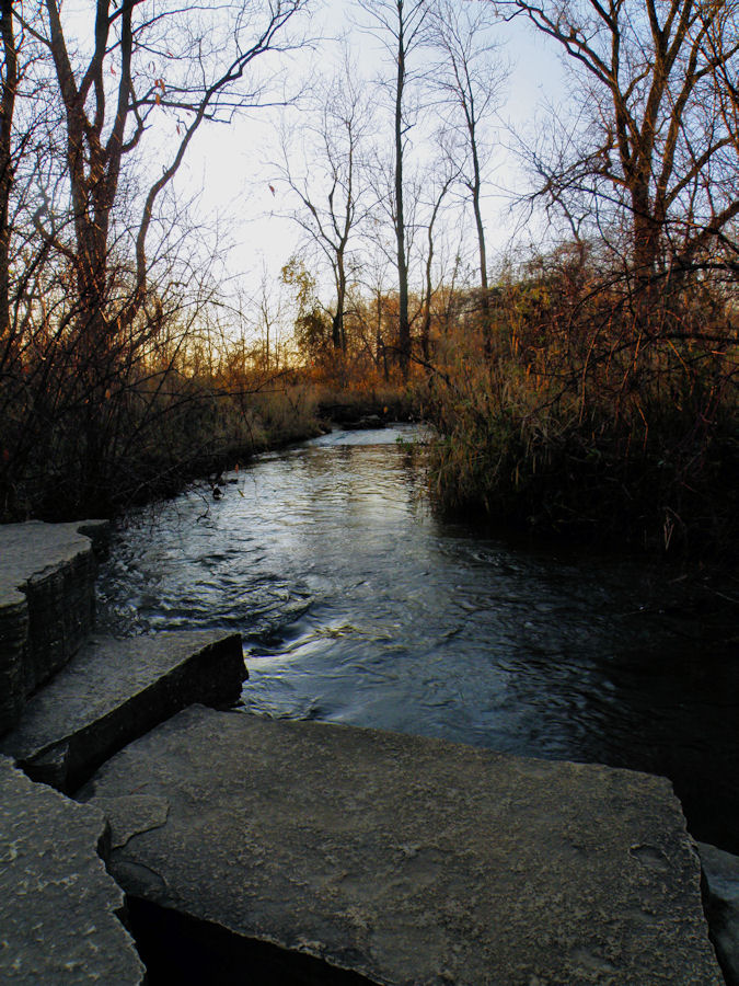 Hoosier Safari Coffee Creek