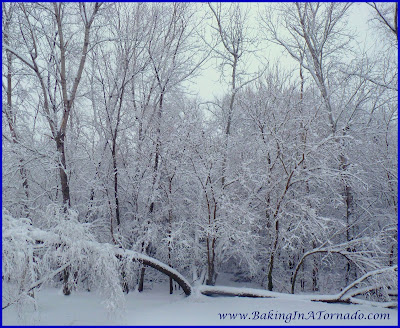 'Tis the Season: a holiday poem | picture by www.BakingInATornado.com | #poetry #seasons