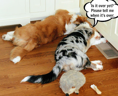 Under Cabinet Dog Food Under Cabinet Dog Food