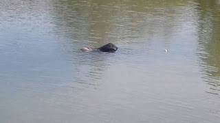 BONFIM: CORPO FOI ENCONTRADO BOIANDO NA BARRAGEM DO BARRO BONFIM: CORPO FOI ENCONTRADO BOIANDO NA BARRAGEM DO BARRO