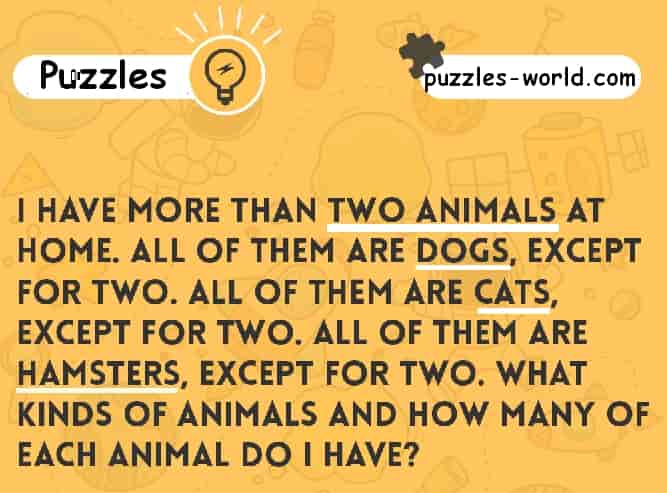 How many of each animal do I have ? | Puzzles World
