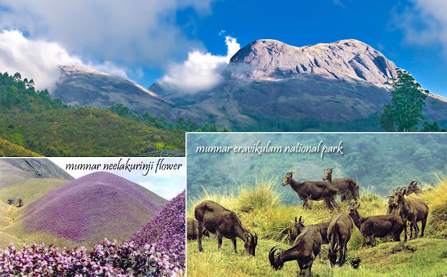 Munnar Tourist Destination