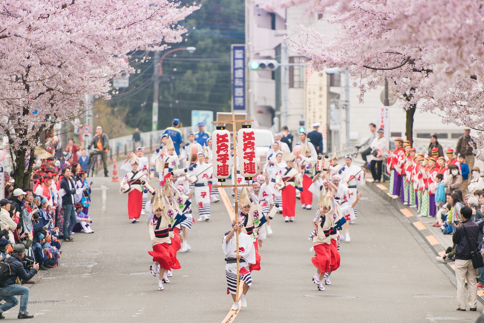 江戸っ子連＆ひょっとこ連、せいせき桜まつり、阿波踊り