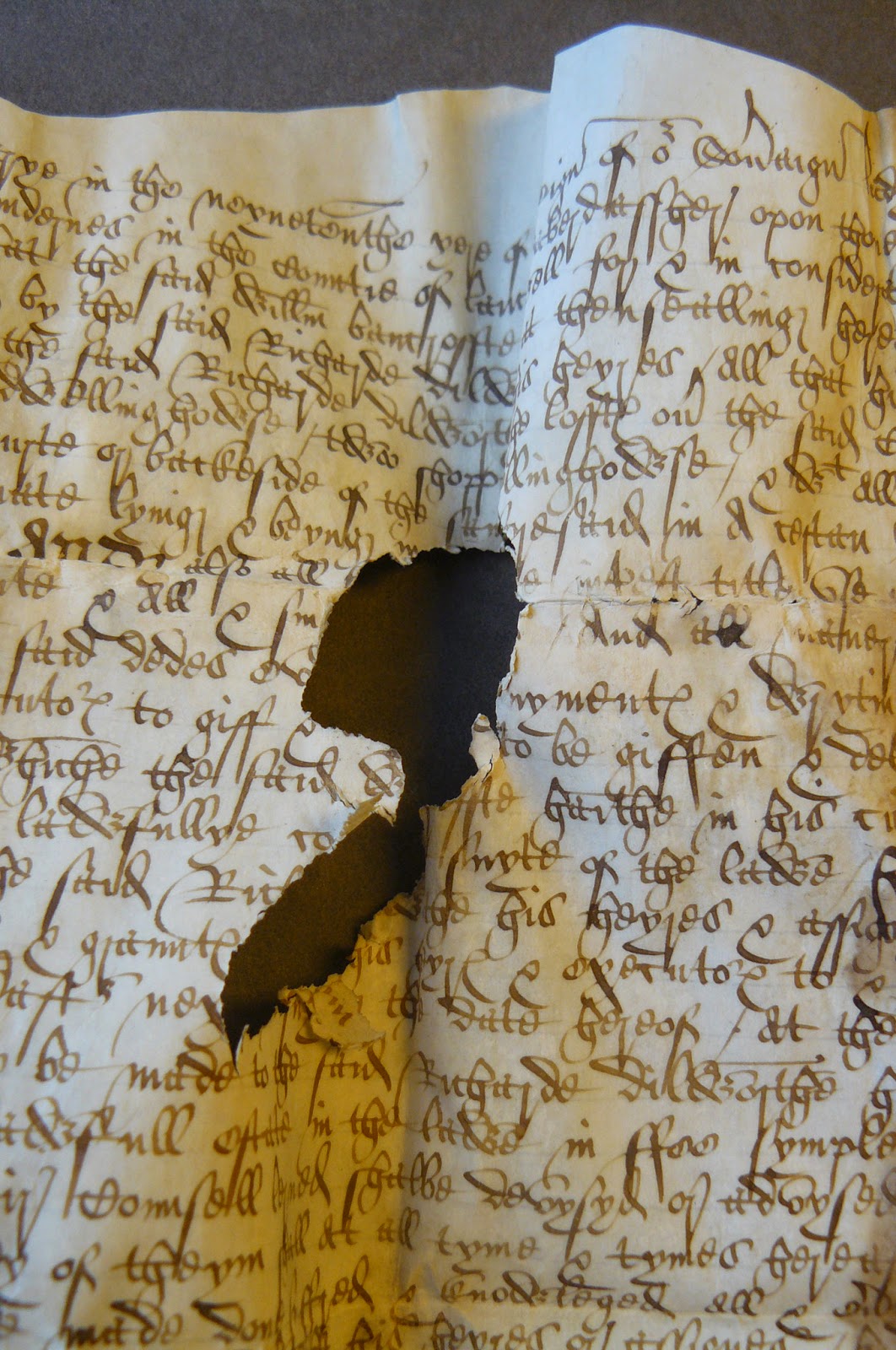 Parchment's hidden stories revealed